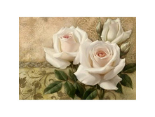 ����� ���� 38*27 Ag5857- 846 ���.