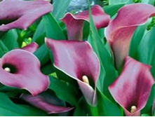 ����� ���� 324� 3��.jpg