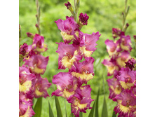 ��������� ����� 102�.jpg