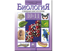 ������� ����� 10-11 ��. ��������, ��������