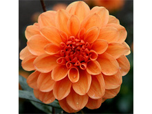 �������� ������ 90�