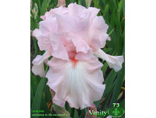 ���� ������ 118,8�