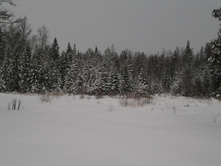 2015-01-09 10.23.27.jpg