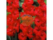 ��������� ��� 10.jpg