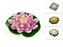 6160064.jpg ���12��   155�