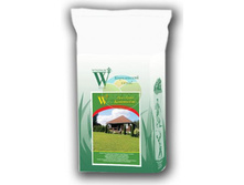 ����� Windsor ���� ���� ������� (����� 5 ��).jpg