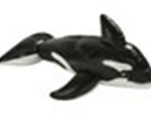 58561	������ ������� 193�119��, �� 3 ���	677,96