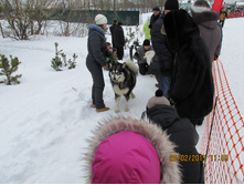 ���� 379.jpg