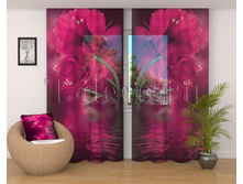 01700 ���� ������.jpg