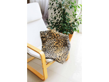 ������� � ���.jpg