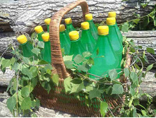 ���� ��ң�����.jpg