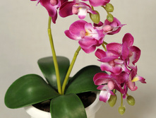 �� 22*2/33 - 220