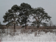 2015-01-09 09.48.01.jpg