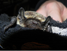 ������� (23).JPG