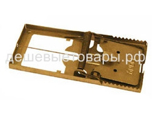 ������ � �������� ������ ������� 77�.jpg