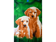 ������� 265�.jpg