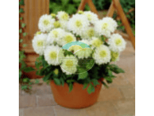 �������� ����� ������.png