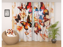 00146 ������ �������.jpg