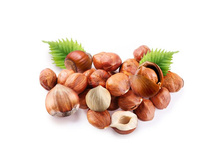 ������ ���������