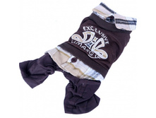 ���������� dib ������-�������� ������� .jpg