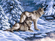 ����� ����� (108�70), (70�50).jpg