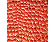 ��������� ������ ��������.jpg