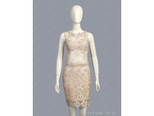 1113 (���., LC) JG.jpg