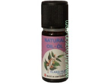 ������� ����� �����-����� ��������� ������ 10 �� ���� 1013 ���