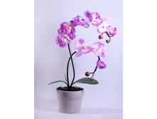 �� 47*2/33 - 330