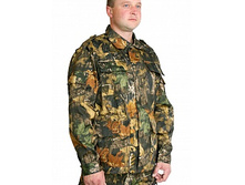 voenno_polevoy_les 1.jpg