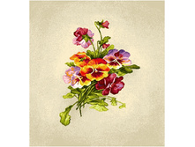 ������� (�����) (30�25).jpg