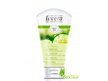 LAVERA ��� ���� ��� ���� � �����    �������: 60297 - 150 �� - 446 ���