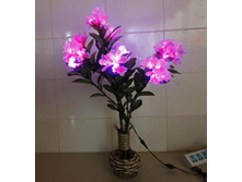 002 PDJ PN (������ 75 ��).jpg