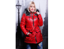 ������ SP ����������