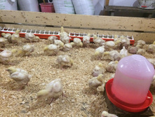 2014-11-23 13.32.27.jpg