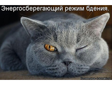 srxfEXz7jyk.jpg
