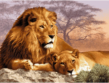 ������ ������� (108�70).jpg