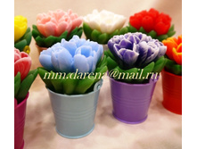 ����� ��������� (� ��ģ���)