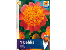 �������� ���� 108�