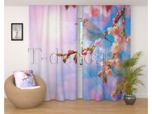 00891����� �� �����.jpg