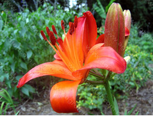 ����� ���� ������� 5�� 180�