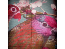 SA103 ��� 3.jpg