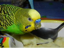 ������ (6).JPG