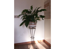 ������ ��� ������ ������-1.jpg