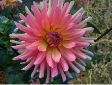 �������� ������� 94�