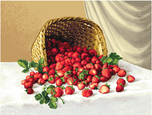 ������� � ��������� (48�35), (22�17).jpg