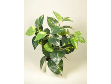 �� 25/67 - 365 - ������ 25%