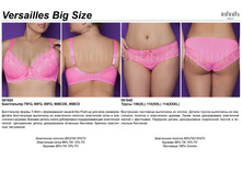 Versailles T�¦-¦¬¦-¦-T�¦¦ Big.jpg