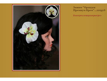 ����� ������� ������� ����.JPG