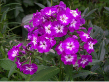 ����� ����� 58,8�